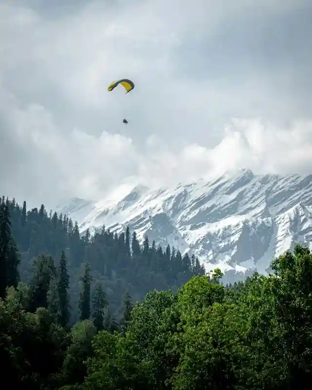Shimla Paragliding