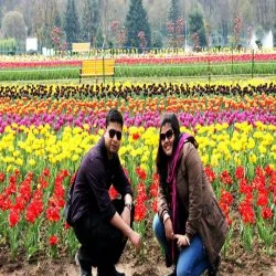 Tulip garden Kashmir couple